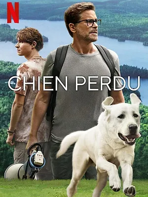 Chien perdu
