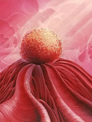 Il était une fois... la vie S1 E2