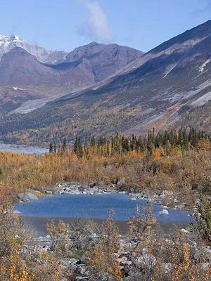 Alaska : nouvelle vie