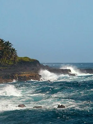 Des volcans et des hommes