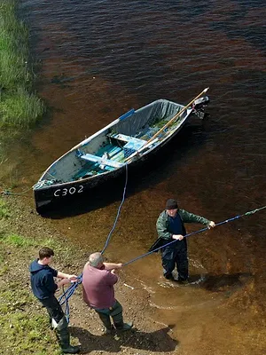 J'apporte le dessert