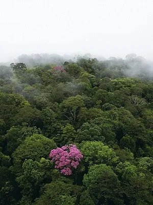 Nature : pour une réconciliation