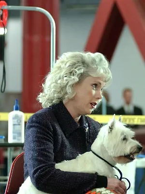 Les experts : Manhattan S1 E12