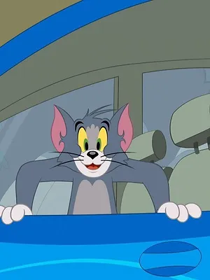 Tom et Jerry Show S5 E16