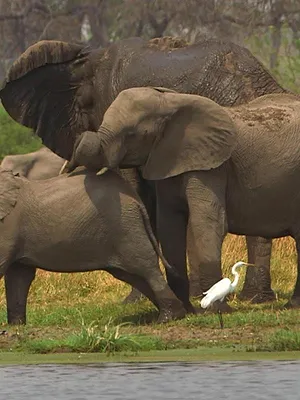 Invitation au voyage