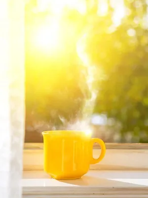 Goedemorgen Nederland