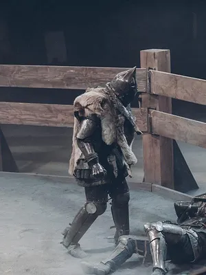 Chevaliers : l'ultime tournoi