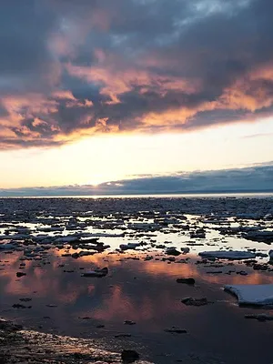 Alaska : nouvelle vie