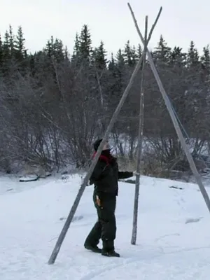 Ice Lake Rebels