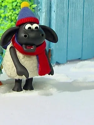 Voici Timmy S2 E26