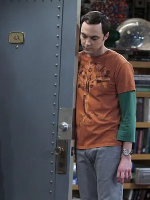 Big Bang Theory S4 E17