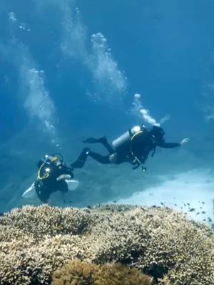 Thalassa, aventures extrêmes