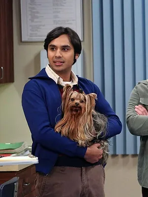 Big Bang Theory S7 E15