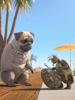 Mike, une vie de chien S1 E59