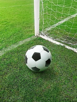 Club America, l'avant-match