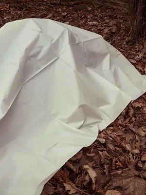 Silicon Valley : connexions meurtrières