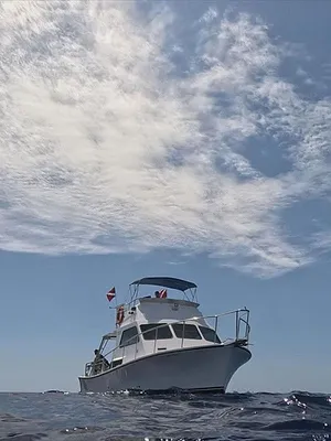 Triangle des Bermudes : les mystères engloutis