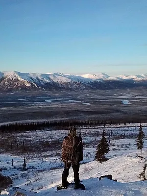 Alaska : nouvelle vie