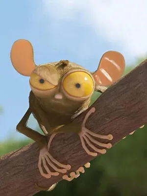 Les As de la jungle en direct S1 E11
