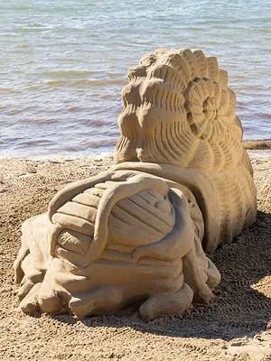 Les rois du château de sable