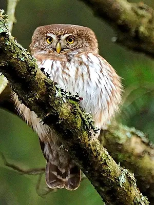 Die Rhön - Naturschönheiten im Land der offenen Fernen