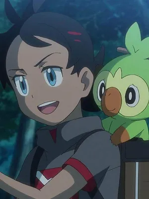 Pokémon, les voyages S24 E18