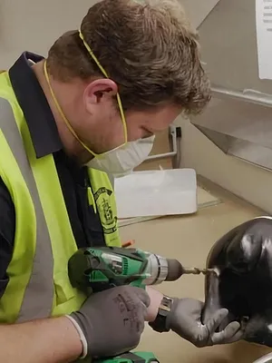 Patrouille frontalière Nouvelle-Zélande