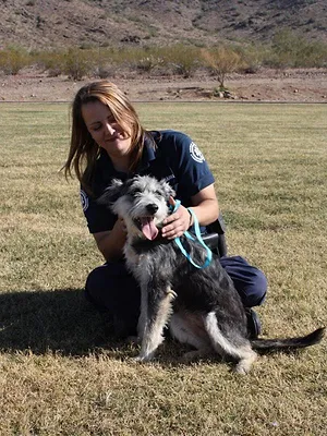 Animal Cops