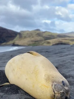Le peuple des tempêtes