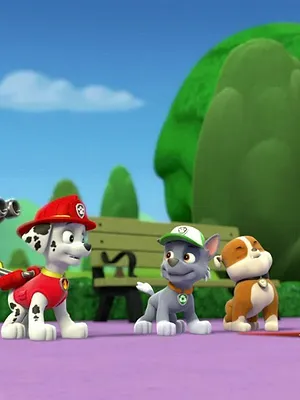 Paw Patrol, la Pat'Patrouille S1 E2