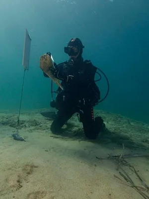 Avant que la grande nacre meure