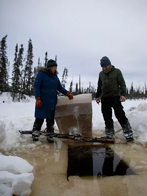 Alaska : nouvelle vie