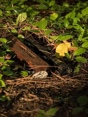 Compte à rebours avant la mort