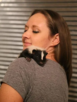 Le refuge du bonheur