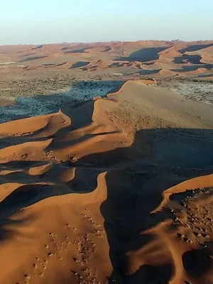 La science des forces de la nature