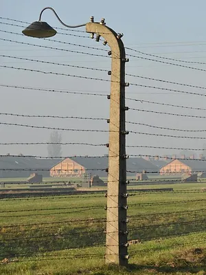 Jusqu'au dernier : la destruction des juifs d'Europe