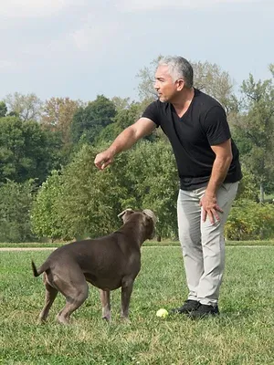 Cesar et son fils
