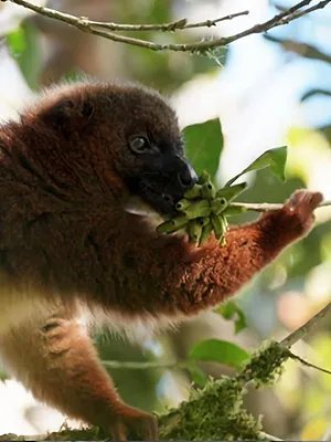 Héroïnes de nature