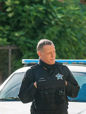 Chicago Police Department S8 E13