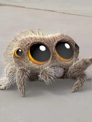 Lucas l'araignée S1 E63
