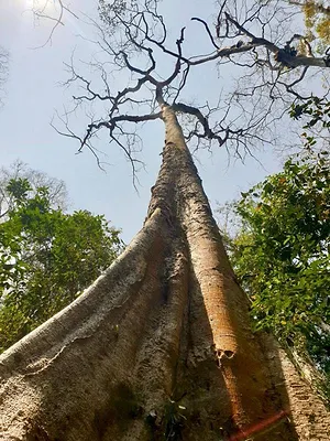Le sud du Vietnam au fil de l'eau