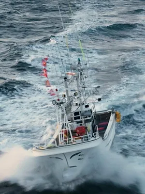 Thalassa, aventures extrêmes