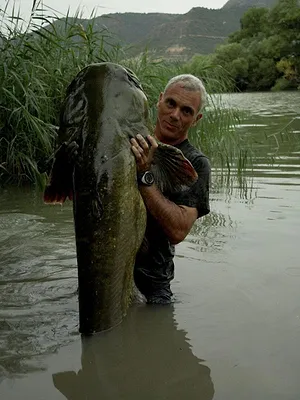 River Monsters