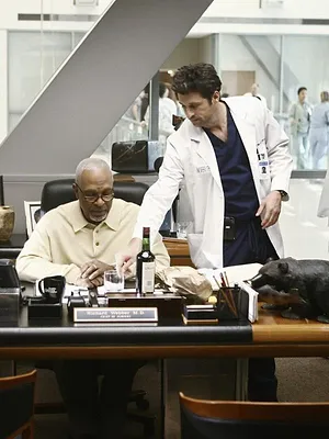 Grey's Anatomy S6 E12