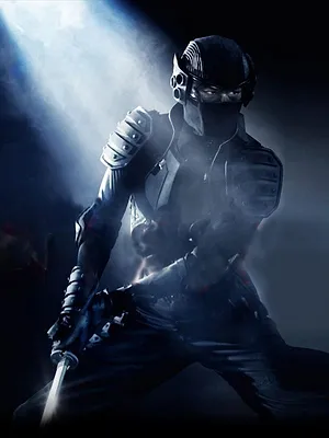 Ninja