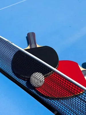 Tennis de table : Coupe du monde individuelle