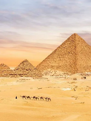 Egypte : trésors des pharaons