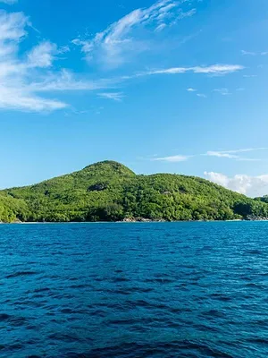 The Island : Seuls au monde