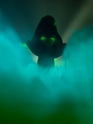 Les Schtroumpfs S2 E28