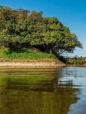 Ed Stafford : Seul au monde
